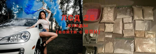 шишки Новосибирск